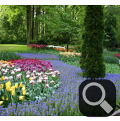 collage image title