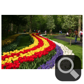 collage image title